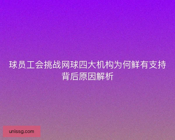 球员工会挑战网球四大机构为何鲜有支持背后原因解析