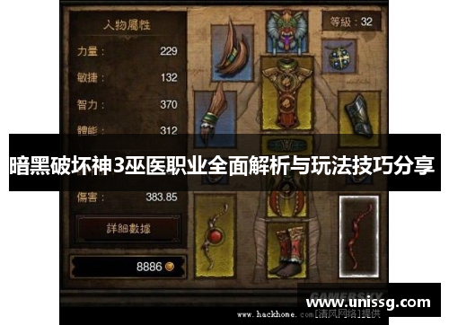 暗黑破坏神3巫医职业全面解析与玩法技巧分享